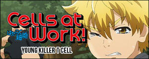 Cells at Work Killer T